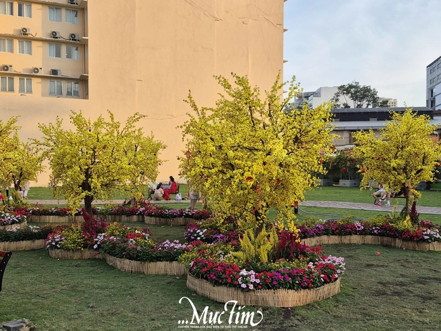 Đi đâu chơi gì trong những ngày còn lại của Tết Bính Ngọ 2026?- Ảnh 16.