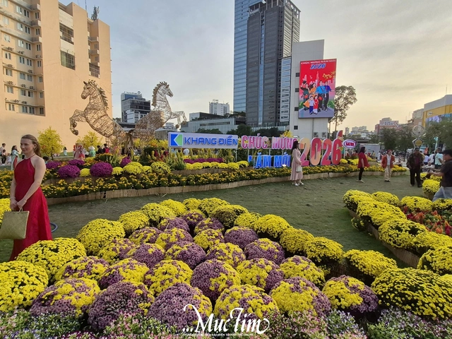 Đi đâu chơi gì trong những ngày còn lại của Tết Bính Ngọ 2026?- Ảnh 17.