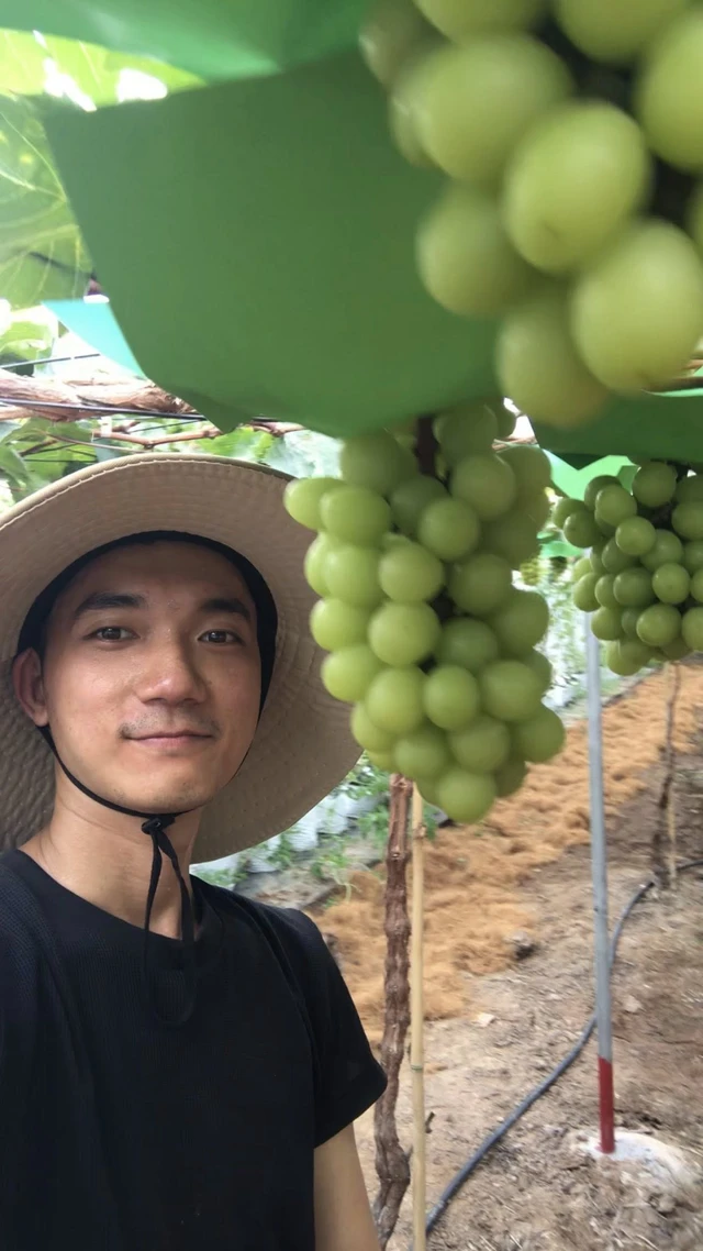 Check-in vườn nho ngón tay gây sốt dịp Tết ở Vĩnh Long- Ảnh 4.