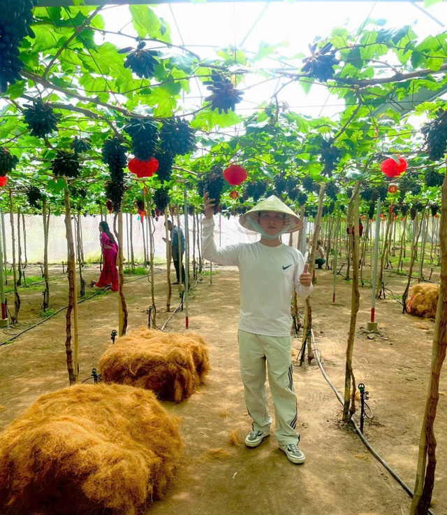Check-in vườn nho ngón tay gây sốt dịp Tết ở Vĩnh Long- Ảnh 5.
