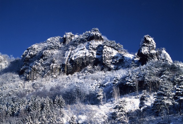 Vietnamese woman dies while climbing mountain in Japan: media- Ảnh 1.