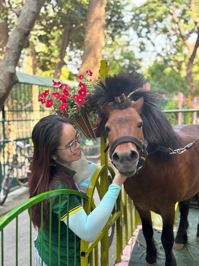 Saigon Zoo and Botanical Gardens welcomes 110,000 visitors during 6 days of Tet- Ảnh 1. Saigon Zoo and Botanical Gardens welcomes 110,000 visitors during 6 days of Tet- Ảnh 1.