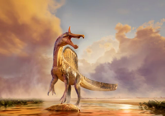 Fossils of a new species of huge dinosaur Spinosaurus unearthed in Niger- Ảnh 1. Fossils of a new species of huge dinosaur Spinosaurus unearthed in Niger- Ảnh 1.