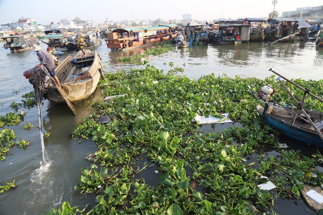 Are business and management practices ‘sinking’ Cai Rang Floating Market in Vietnam?- Ảnh 1.