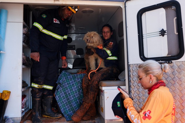 Death toll from Brazil floods rises to 46; 21 people still missing- Ảnh 2.