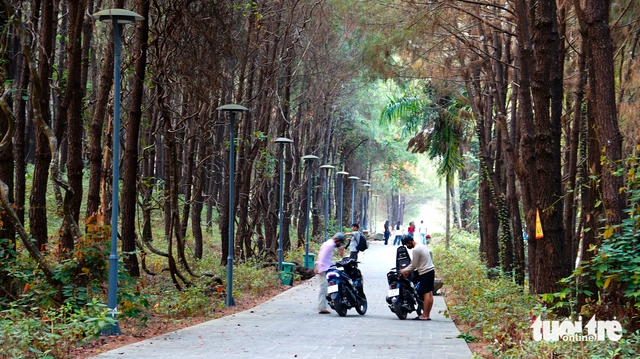 Litter mars beauty of Vietnam’s scenic Vong Canh Hill after Tet visits- Ảnh 4.