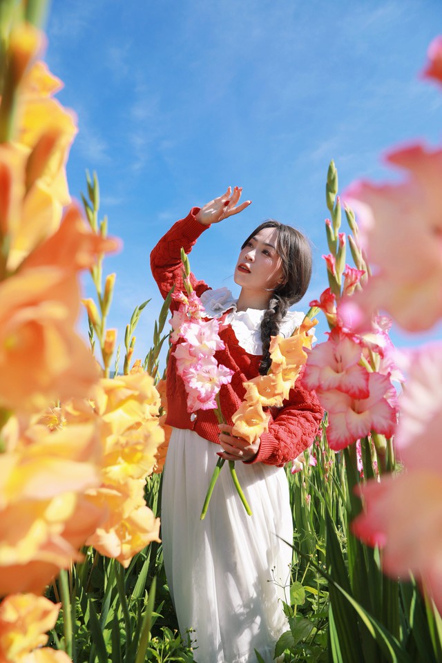 Cánh đồng hoa lay ơn Đà Lạt nở rộ, dân tình rủ nhau đến check-in- Ảnh 6.