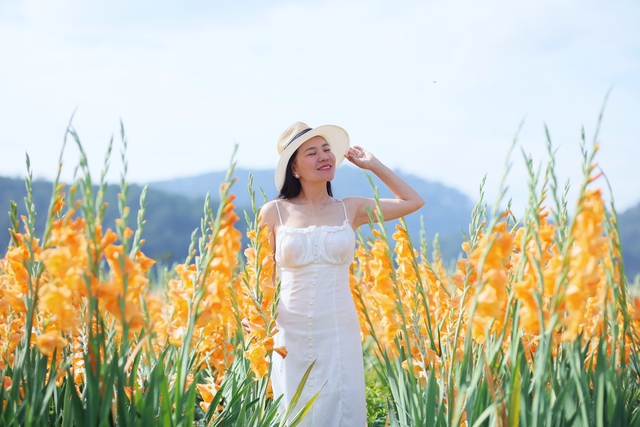 Cánh đồng hoa lay ơn Đà Lạt nở rộ, dân tình rủ nhau đến check-in- Ảnh 3.