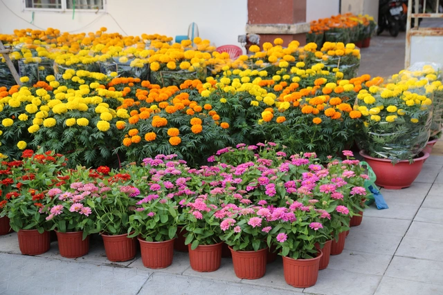 Bài tham dự sân chơi viết Chuyến xe mùa xuân: Chuyến xe ngày đoàn viên- Ảnh 1.