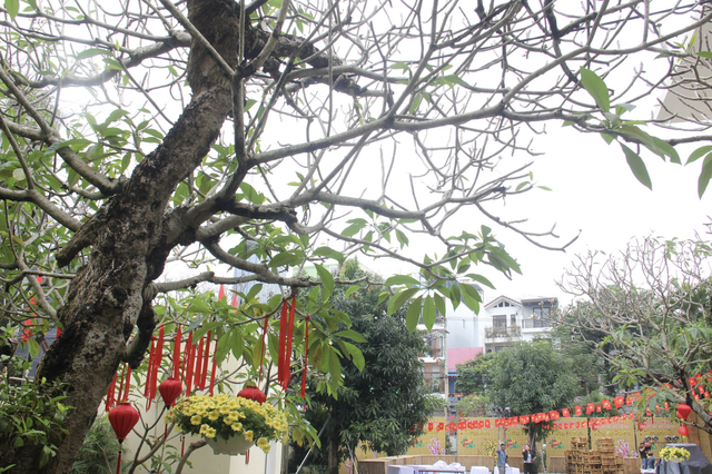 French villa set to become cultural, tourism landmark in Da Nang - Ảnh 6.