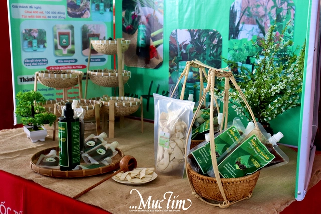 24 dự án được vinh danh tại cuộc thi Học sinh, sinh viên với ý tưởng khởi nghiệp- Ảnh 4.