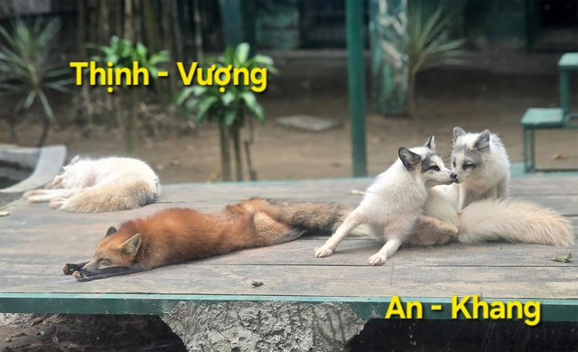Ngày xuân nghe cư dân Thảo cầm viên chúc Tết - Ảnh 3.