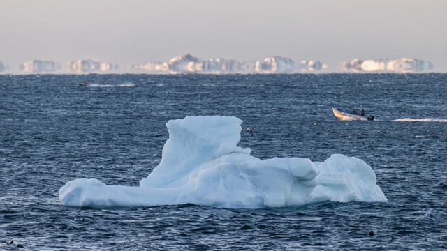 AI to track icebergs adrift at sea in boon for science- Ảnh 1.