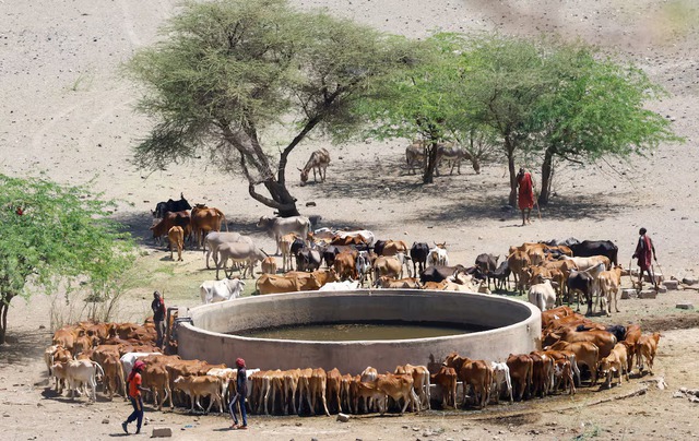 Drought spreads beyond Kenya's arid north, plunging herders into crisis - Ảnh 4.