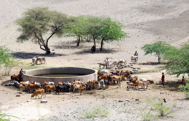 Drought spreads beyond Kenya's arid north, plunging herders into crisis - Ảnh 5.