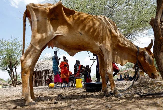 Drought spreads beyond Kenya's arid north, plunging herders into crisis - Ảnh 1.