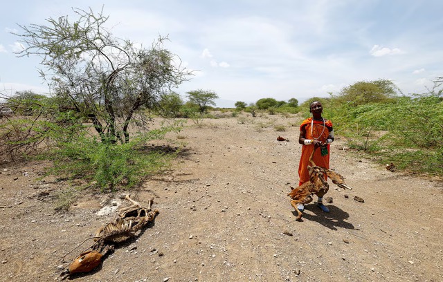 Drought spreads beyond Kenya's arid north, plunging herders into crisis - Ảnh 3.