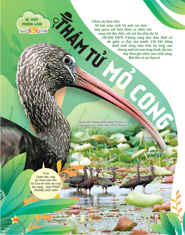 Đón đọc Ngôi Sao Nhỏ số 1, phát hành ngày 24-2: Lắng nghe thanh âm của thiên nhiên- Ảnh 2.