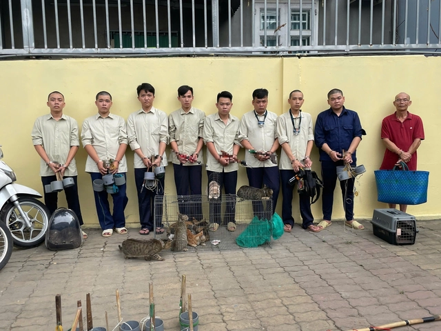 Ho Chi Minh City police bust armed cat-theft ring, recover stolen pets- Ảnh 1.