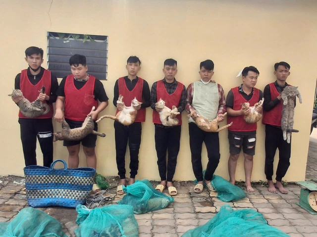 Ho Chi Minh City police bust armed cat-theft ring, recover stolen pets- Ảnh 2.