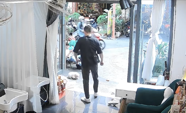 Video shows foreign tourist kicking pet dog at Da Nang spa, leaving it with broken ribs- Ảnh 1.