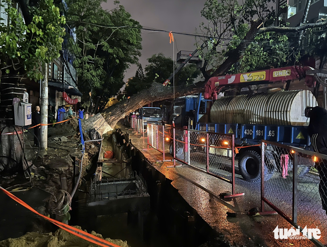 Toppled tree cuts power on downtown street in Da Nang- Ảnh 2.