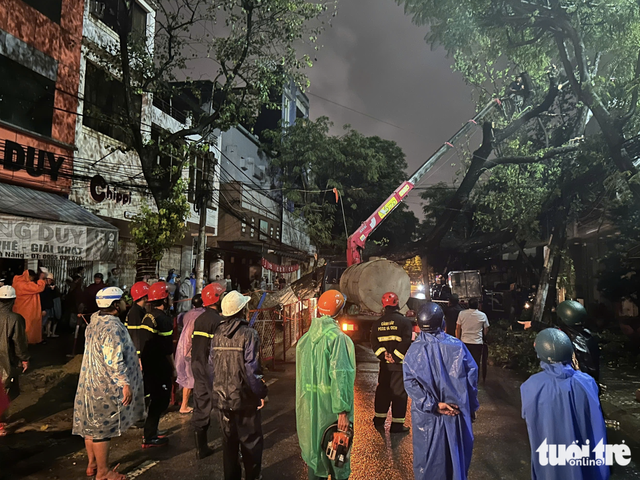 Toppled tree cuts power on downtown street in Da Nang- Ảnh 3.