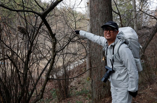 Punch the Japanese snow monkey captures hearts while kin face culls - Ảnh 6.