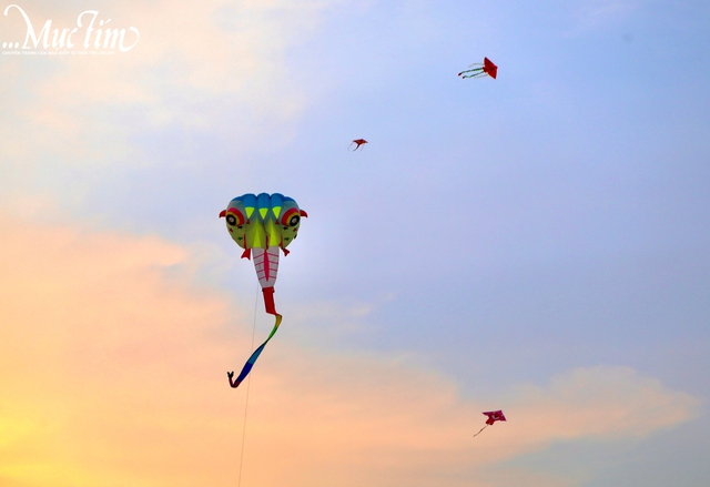 Khám phá 3 địa điểm thả diều cực chill tại TP.HCM- Ảnh 3. Khám phá 3 địa điểm thả diều cực chill tại TP.HCM- Ảnh 3.