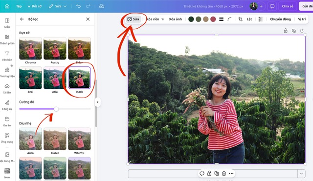 Bắt kịp trào lưu tạo ảnh cùng film sticker bằng Canva - Ảnh 5.