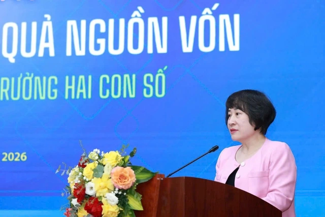 Vietnam lacks structures to absorb capital for growth: Deloitte - Ảnh 1. Vietnam lacks structures to absorb capital for growth: Deloitte - Ảnh 1.