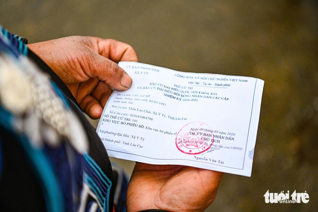 Nearly 79 million Vietnamese vote in parliamentary, local elections- Ảnh 12.