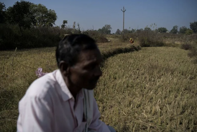 Open-cast pit to eco park: India reinvents old mines - Ảnh 2.