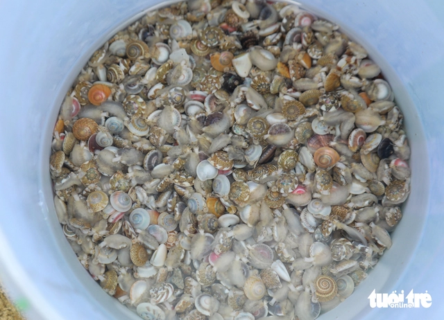 Tiny snails test patience but hook diners in Da Nang- Ảnh 4.
