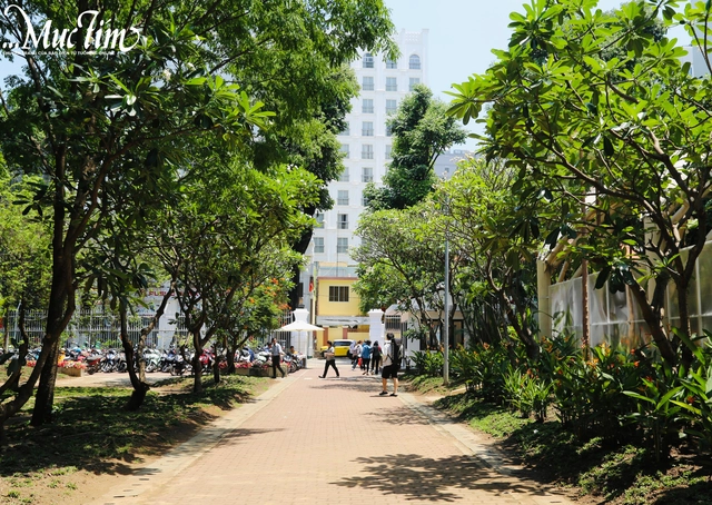 Bên trong không gian mới của Nhà Văn hoá Thanh niên có gì? - Ảnh 2.