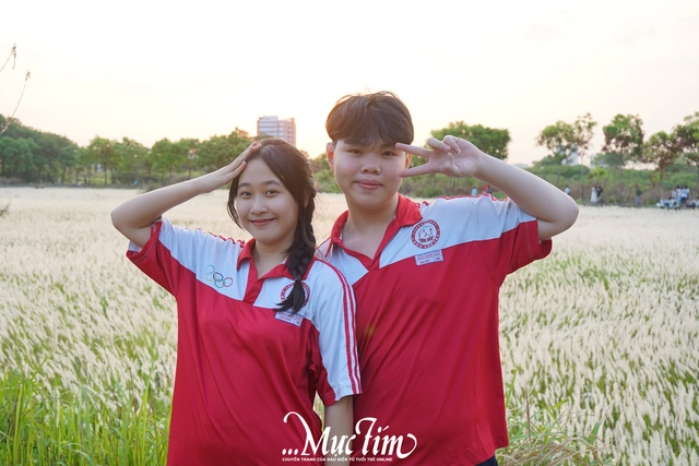 Đường đến cánh đồng cỏ tranh thơ mộng giữa làng đại học TP.HCM - Ảnh 2.