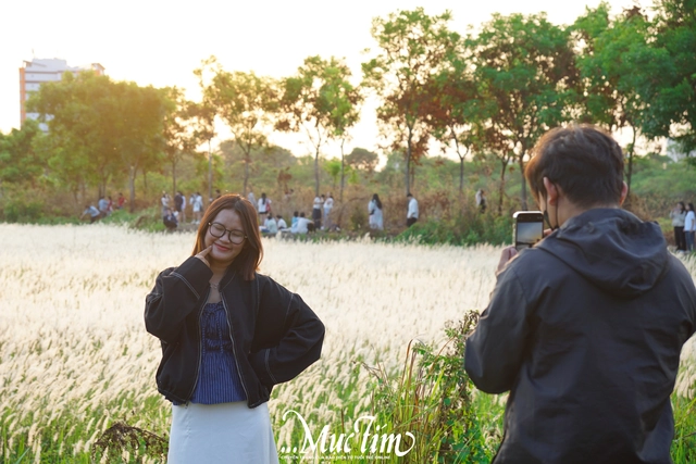 Đường đến cánh đồng cỏ tranh thơ mộng giữa làng đại học TP.HCM - Ảnh 8.