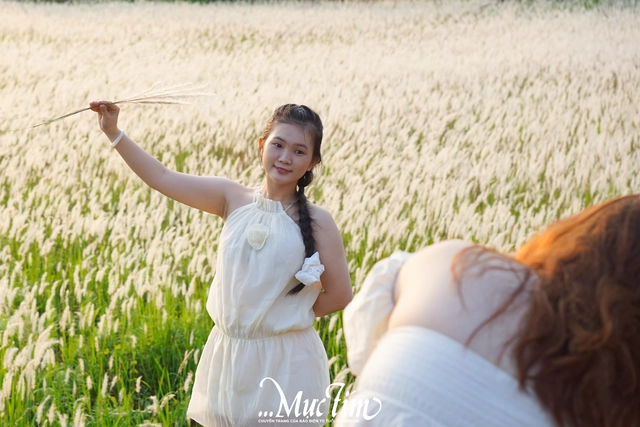 Đường đến cánh đồng cỏ tranh thơ mộng giữa làng đại học TP.HCM - Ảnh 5.