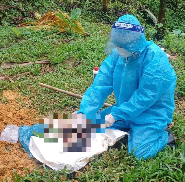 Rabid dog bites 3 people as Da Nang reports 7 outbreaks this year - Ảnh 1.