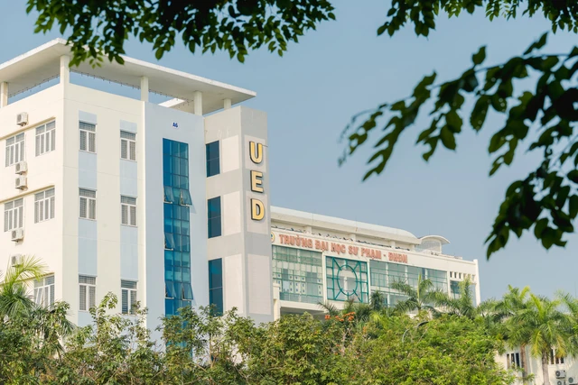 Trường đại học Sư phạm - Đại học Đà Nẵng tuyển 2912 chỉ tiêu, với 3 phương thức - Ảnh 1.