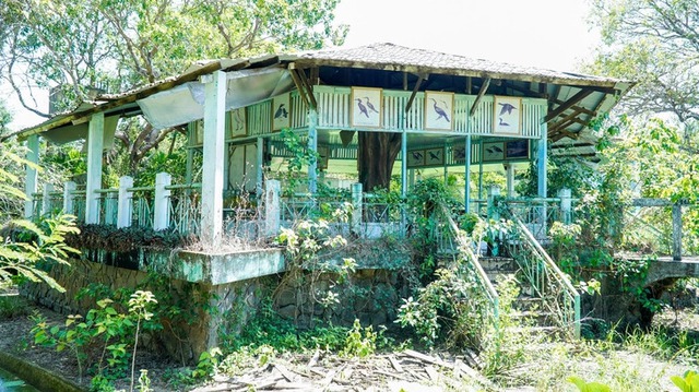 Century-old bird sanctuary in Vietnam’s Ca Mau shows alarming signs of decay - Ảnh 1.