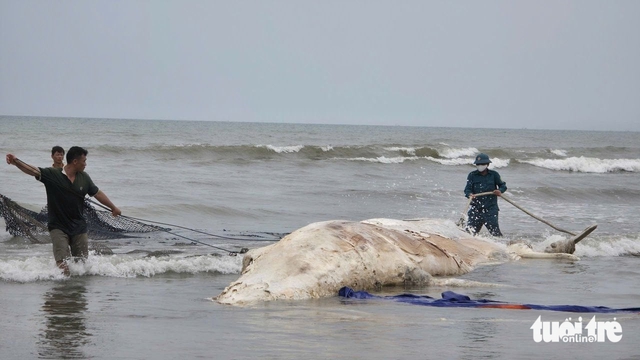 Breakfast @ Tuoi Tre News - March 21- Ảnh 1. Breakfast @ Tuoi Tre News - March 21- Ảnh 1.