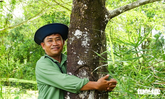Vietnam’s U Minh Thuong forest regenerates decades after 2002 fire - Ảnh 3. Vietnam’s U Minh Thuong forest regenerates decades after 2002 fire - Ảnh 3.