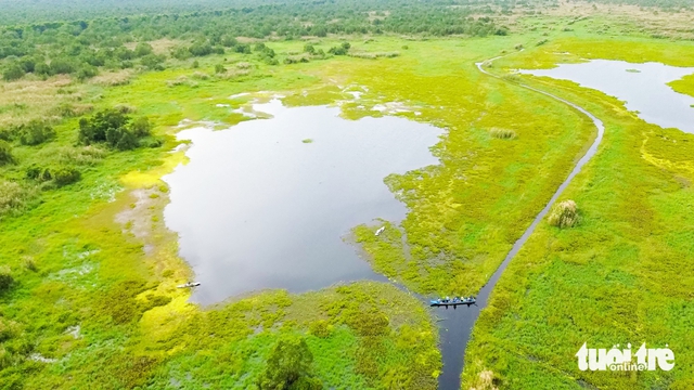 Vietnam’s U Minh Thuong forest regenerates decades after 2002 fire - Ảnh 7. Vietnam’s U Minh Thuong forest regenerates decades after 2002 fire - Ảnh 7.