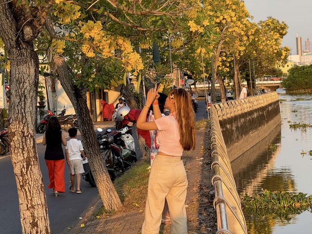Ngắm con đường hoa kèn vàng siêu hot ở Cần Thơ - Ảnh 5.
