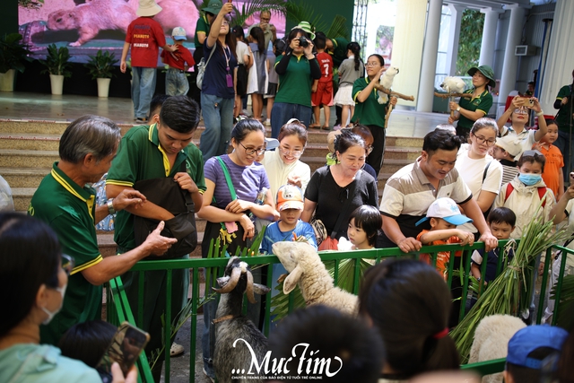 Mừng sinh nhật 162 năm Thảo cầm viên, “fan cứng” hào hứng lên đồ trẩy hội- Ảnh 10. Mừng sinh nhật 162 năm Thảo cầm viên, “fan cứng” hào hứng lên đồ trẩy hội- Ảnh 10.