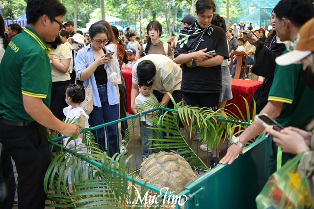 Mừng sinh nhật 162 năm Thảo cầm viên, “fan cứng” hào hứng lên đồ trẩy hội- Ảnh 11. Mừng sinh nhật 162 năm Thảo cầm viên, “fan cứng” hào hứng lên đồ trẩy hội- Ảnh 11.