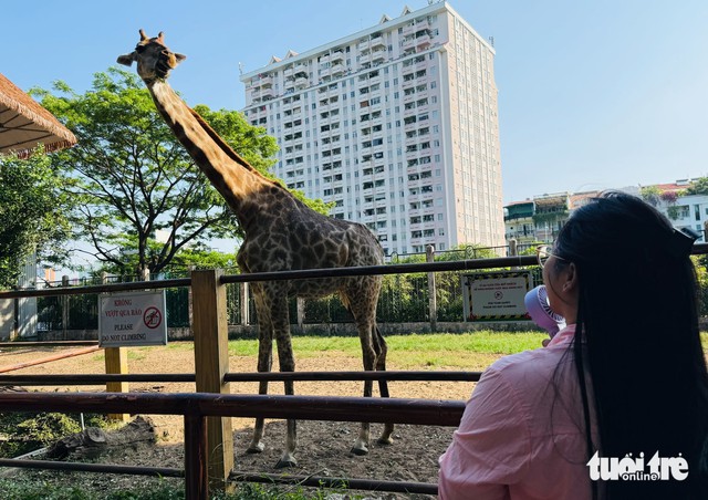 Saigon Zoo and Botanical Gardens marks 162nd anniversary - Ảnh 4.
