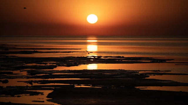 Planet trapped record heat in 2025: UN- Ảnh 1.