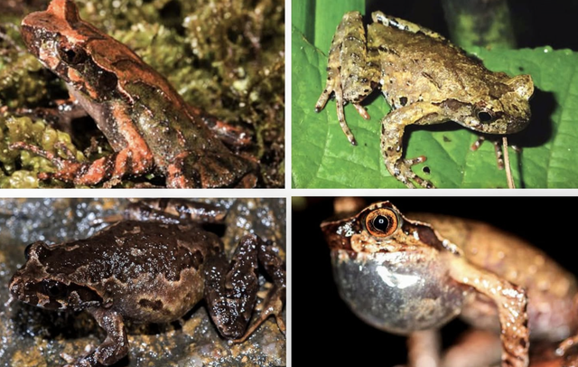 Vietnam has new national park- Ảnh 1.